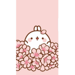 •cute bunnies•