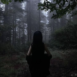 fallen †