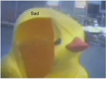 Sad duck group