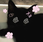 flower starborns