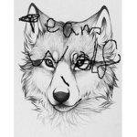 Team Wolf Gaming