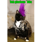 rosekittycat_537 store
