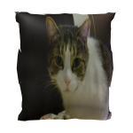 MunchPillow
