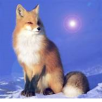 #Fox Forever