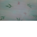 the watermelon squadxo