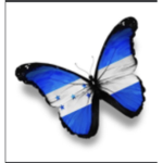 Butterfly pros