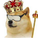 Doge Members Group