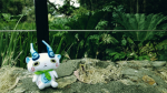 Komasan fanclub