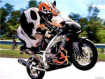 Cows Inc.