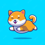 shibainusrock
