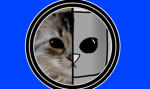 Gaffur_287 Ekibi