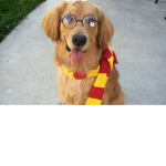 Back2Hogwarts!