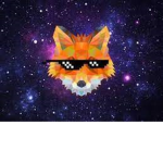 Magic - Fox