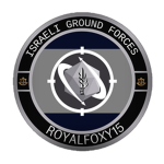 IDF | Israeli Infantry-