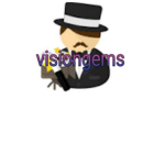 Followers de visiongems