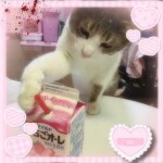 ⋆ ˚｡⋆ ୨୧˚ ⋆