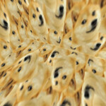 360 No Scope Simulator [60FPS]