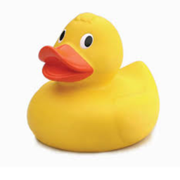 Lit Duck Vile
