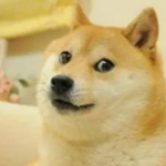 神奇狗勾doge粉丝联盟