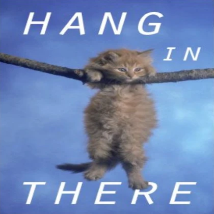 Hang In There cat poster