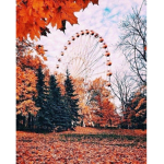 • Aɴɢᴇʟɪsᴛɪᴄ •