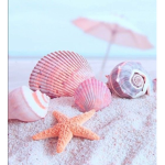 Summerbeach_Vibes