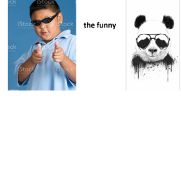 the funny
