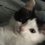 Tower of Unreachable Progress