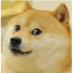 Dog from roblox