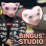 bingus' studio