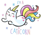 KittycornGamin squad