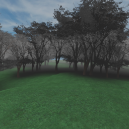 Forest