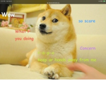 Doge respect center