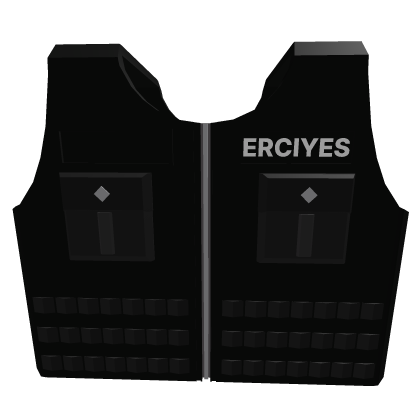 Erciyes public safety 2