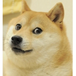 Mini's Doges