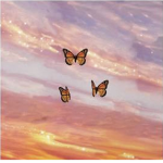 Butterfly foreverrrrrrr