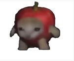 Cat apple group