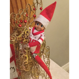 Elf on the shelf hang out