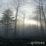 qrimes