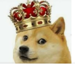 The kindom of doge