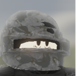 Private Protection Unit