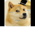 “Doge Sanctuary”