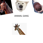 ANIMAL GANG OFFICAL GROUP
