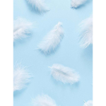 Icey playz