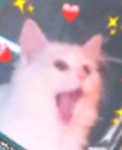 Adopt me is AWSOME