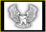 Roblox Eagle Force