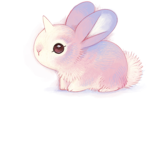 BunBun Squad