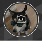 Diamond gang let’s go