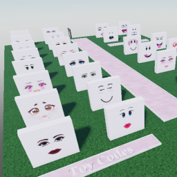 Barb Faces