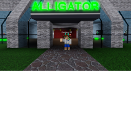 Alligator Hangout